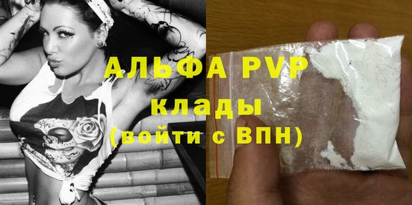 стаф Алексин