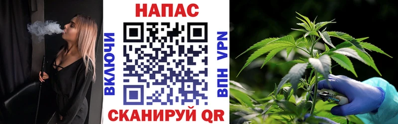 omg зеркало  продажа наркотиков  Петровск  Бошки марихуана SATIVA & INDICA 